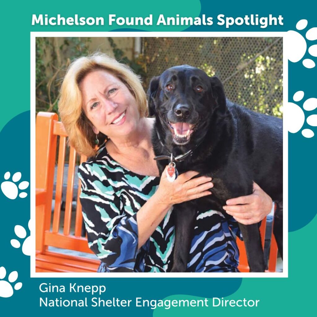 Return to Owner: Expanded Community Chat with Gina Knepp Webinar