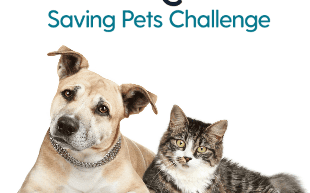 Michelson Found Animals Kicks Off the 2021 Saving Pets Challenge