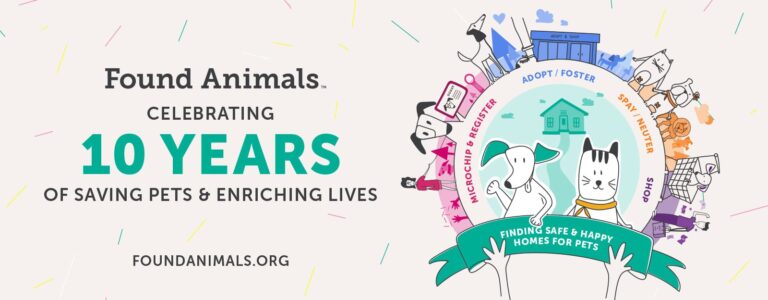Michelson Found Animals celebrates 10 years