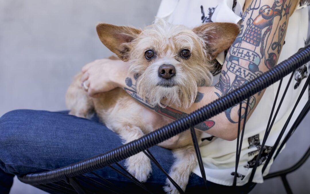 Pet Tattoo Inspo: How to Personalize Your Pet Tattoo