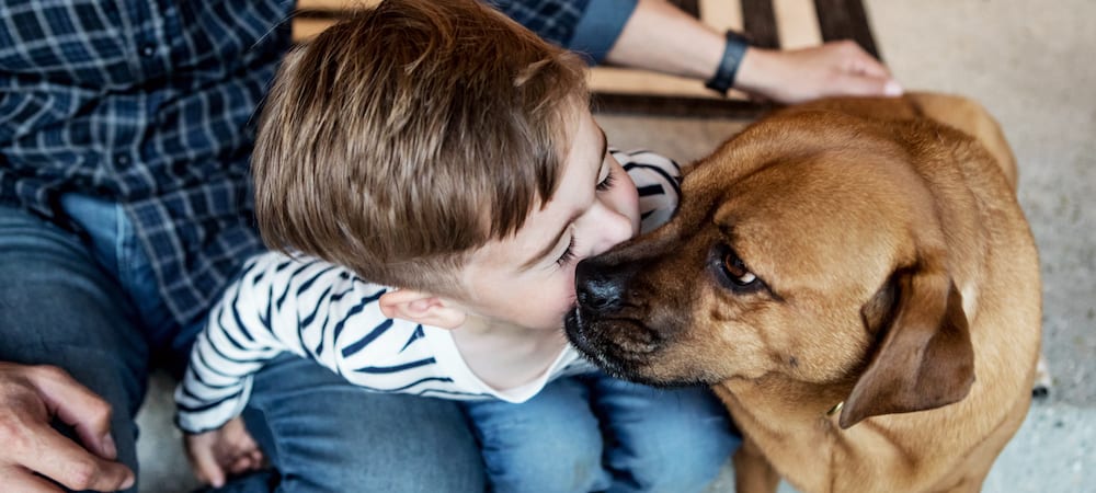 Pets Are Our Greatest Loves Infographic