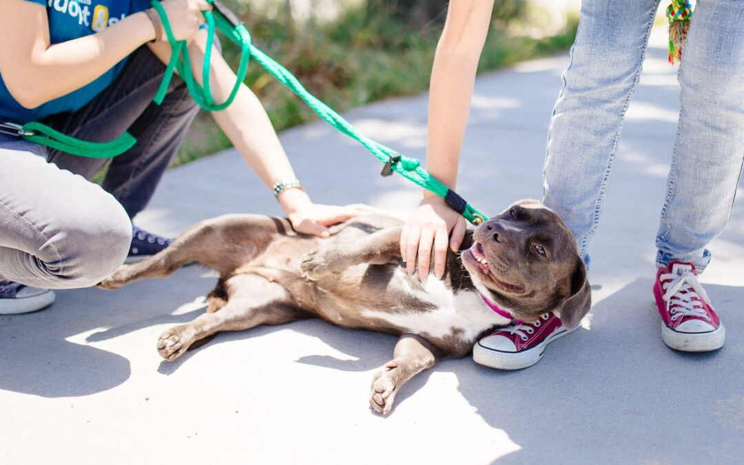 How To Prevent the Volunteer Summer Slump