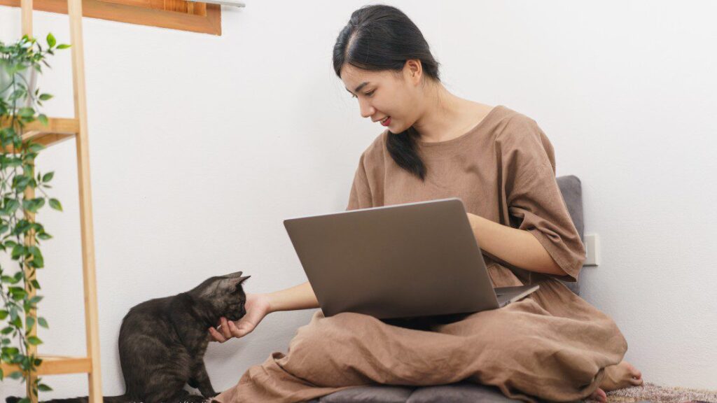 Young Asian woman using a laptop and stroking a cat.