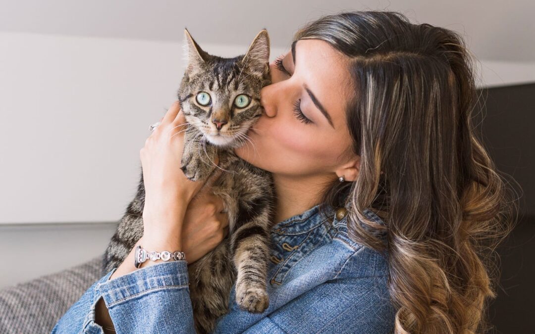 Adoption Success Stories: Sadie, Neo, Pan and Pepper