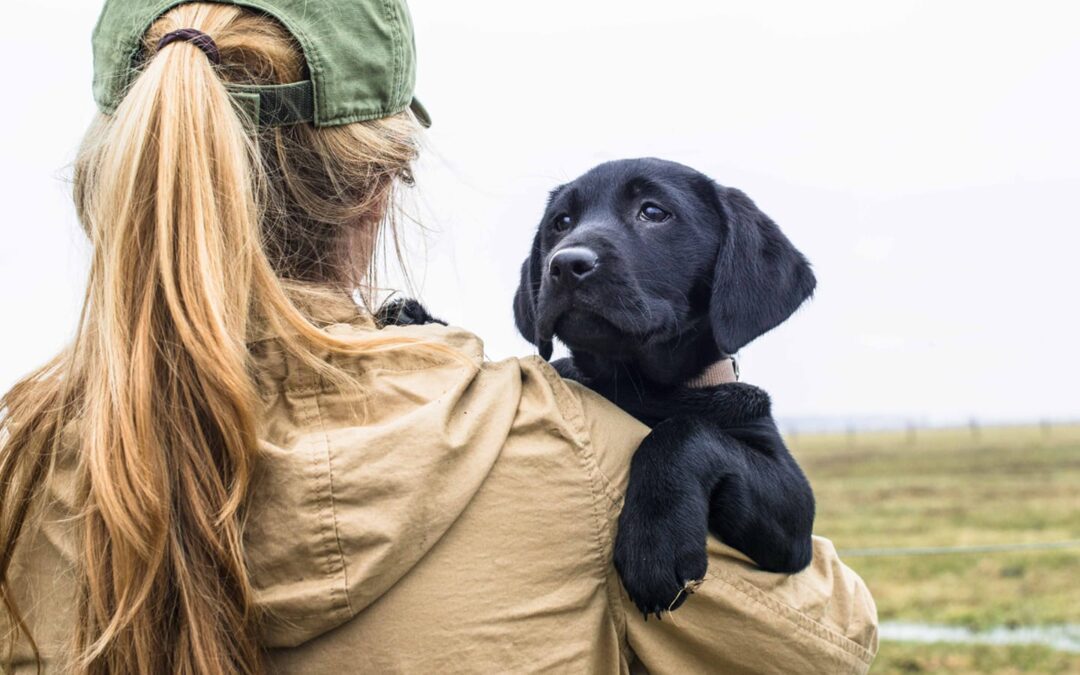 Our Top 5 Female Animal Rights Celebrities