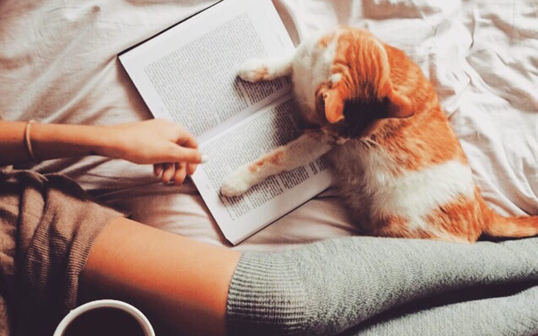 Gift Guide: Pet and Book Lovers
