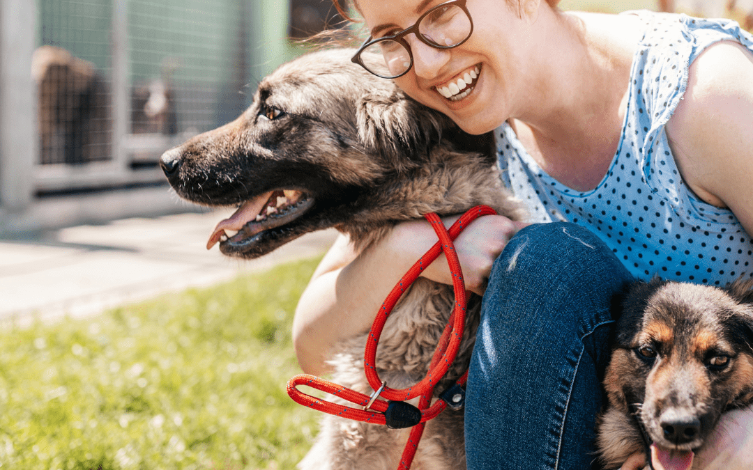 California Animal Welfare Funders Collaborative  awards nearly $300,000 in grants to animal shelters across the state