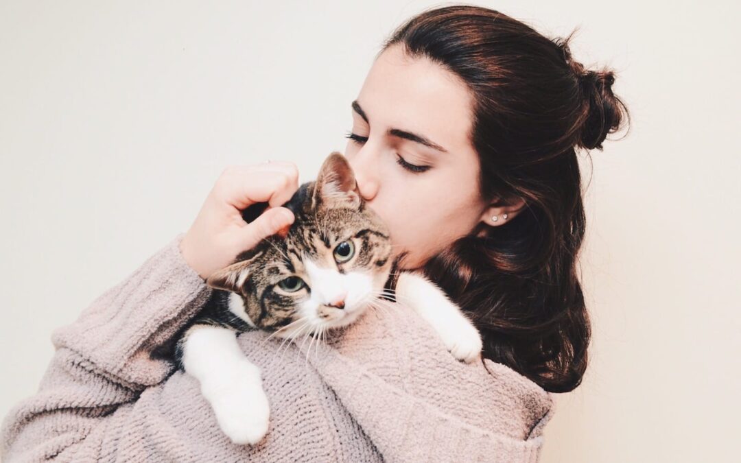 SOS: Why Is My Cat Vomiting?!