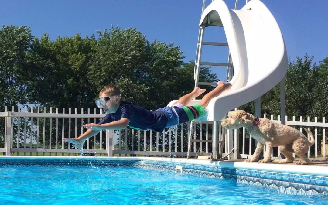 Swimming Safety for Dogs