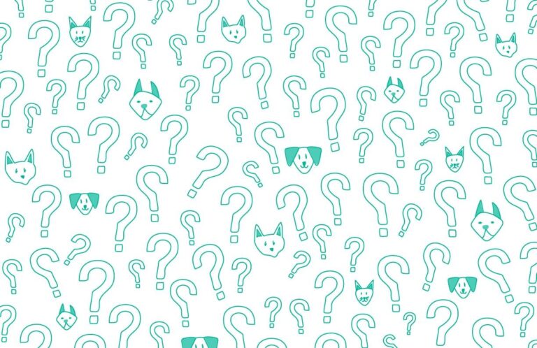 Teal dog, cat & question mark drawings (768x498)