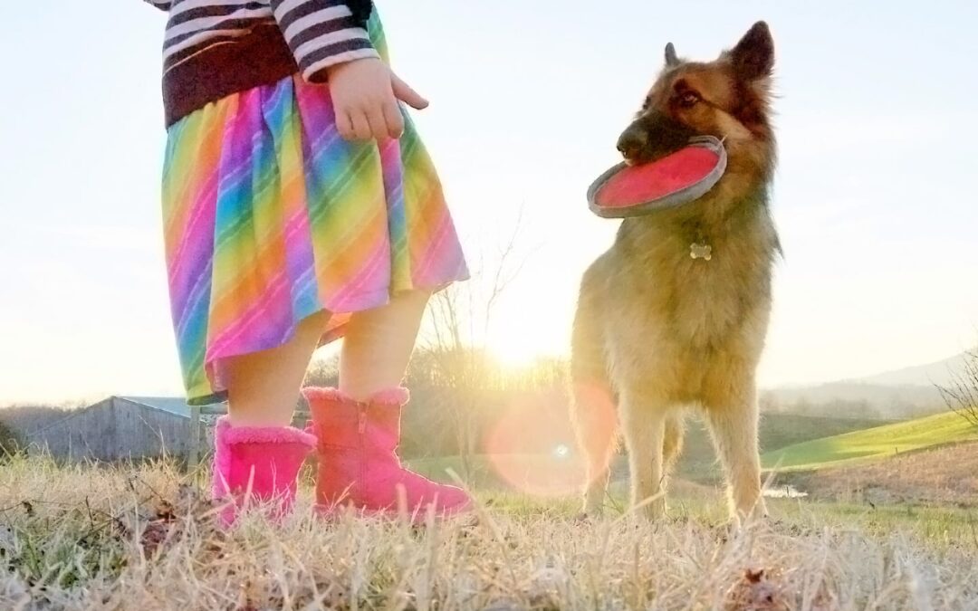 Hold Your Own Olympic Games With Your Pet