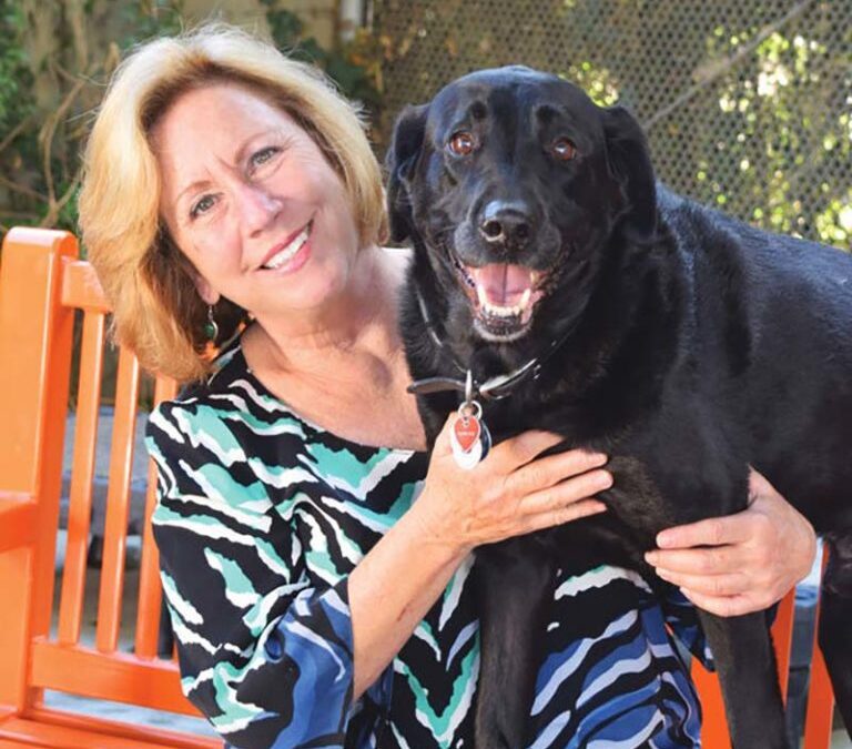 Celebrating the Work of Gina Knepp: National Shelter Engagement Director of Michelson Found Animals Foundation
