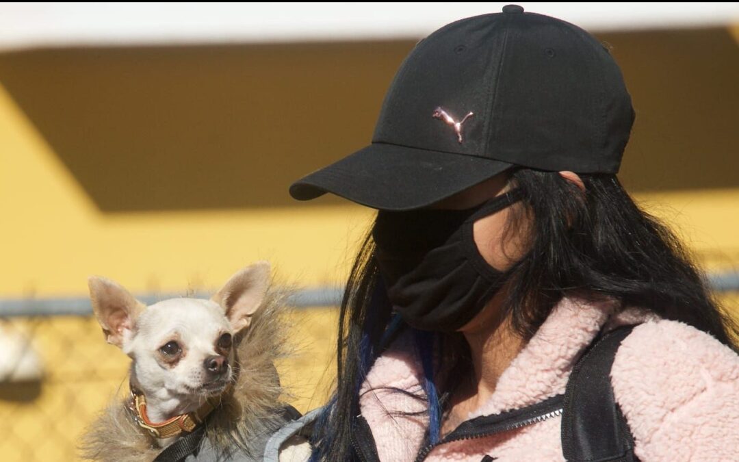 Partnering with Homeboy Industries to Help Pets In Need