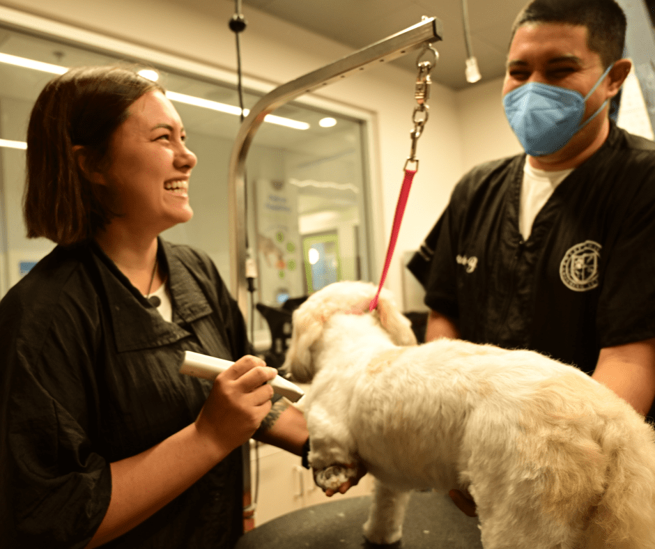 Iris, Michelson Institute for Pet Professions graduate