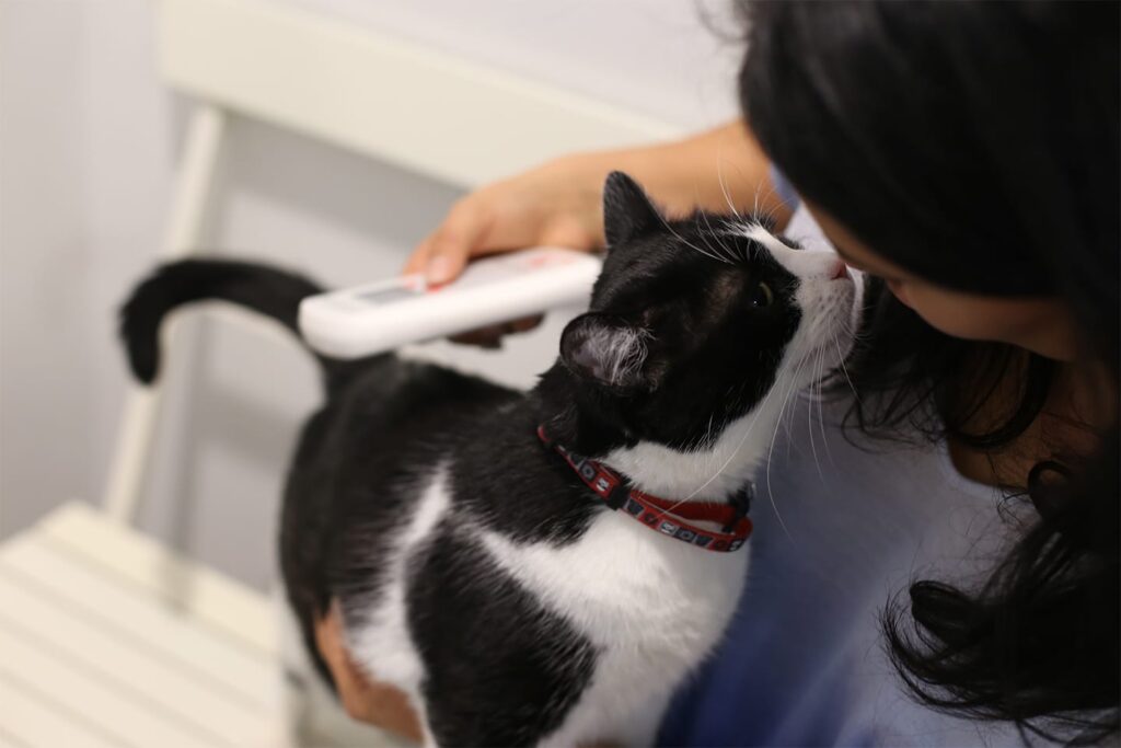 A black and white cat touches noses with a woman holding a scanner