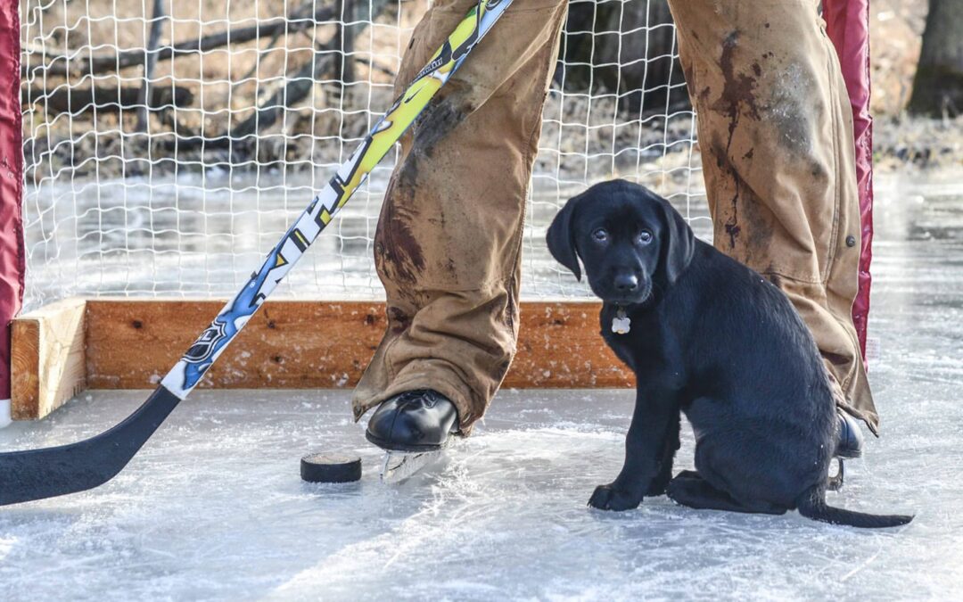 Olympians Who Love Their Pets as Much as Sports