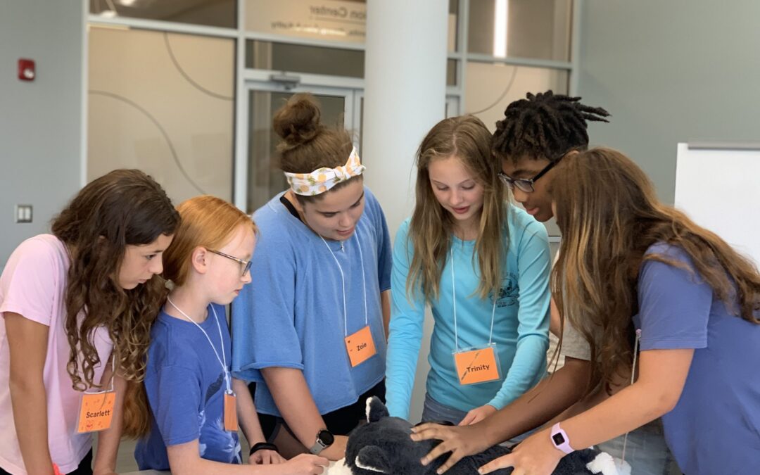 Campers Get Creative for National Pet Loss Prevention Month