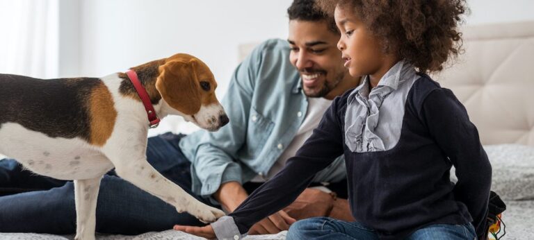 Rental Housing Owners Adopting Pet Inclusive Policies