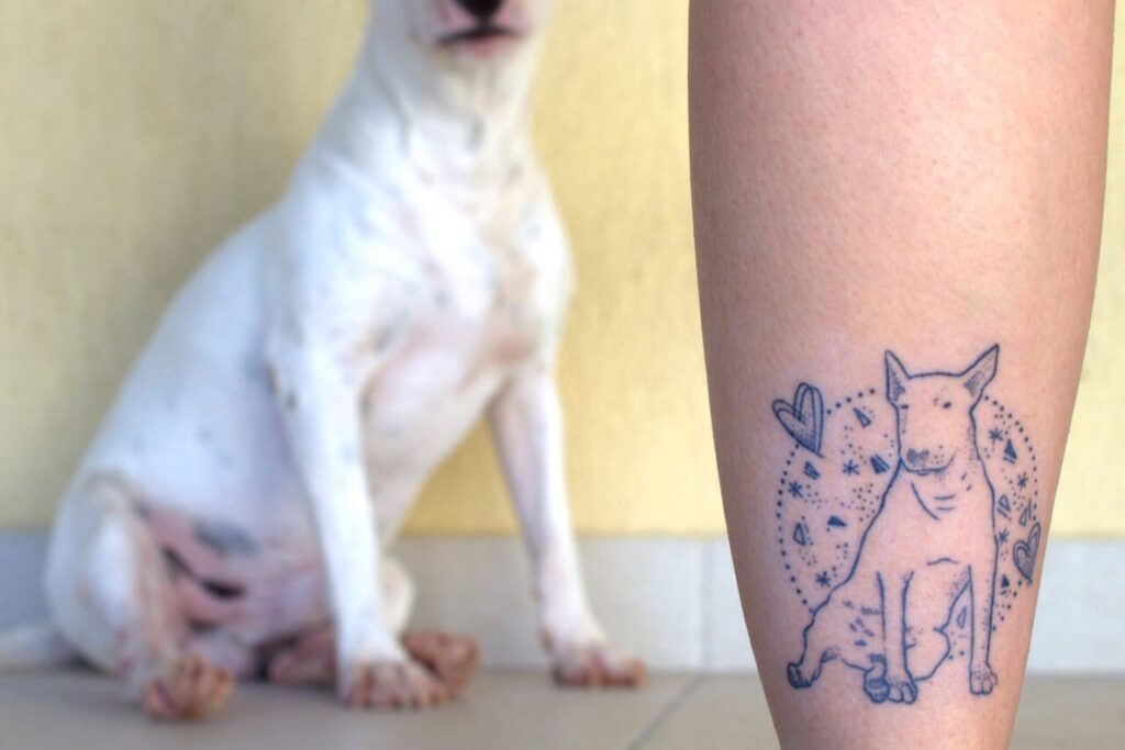 Pet Tattoo