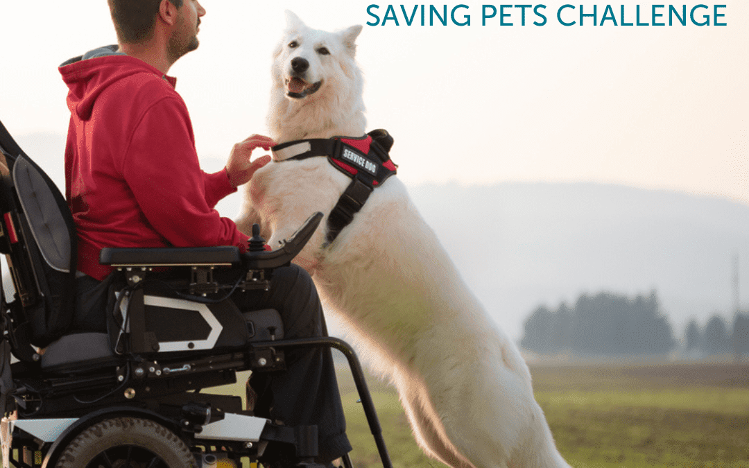 The Saving Pets Challenge is Back!