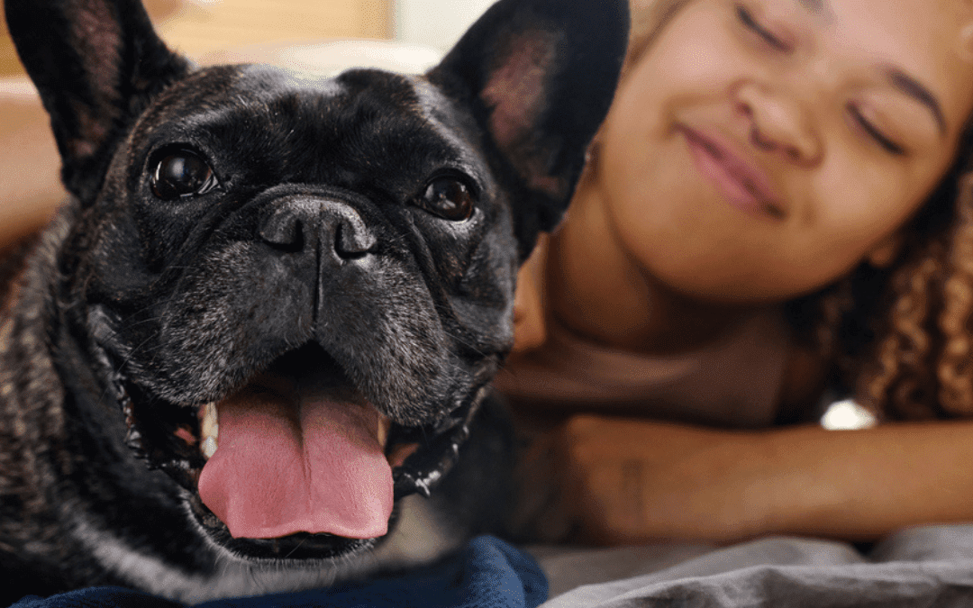 The Michelson Found Animals Foundation Saving Pets Challenge Raises Over $1 Million to Improve Quality of Life for Companion Pets and Their Humans