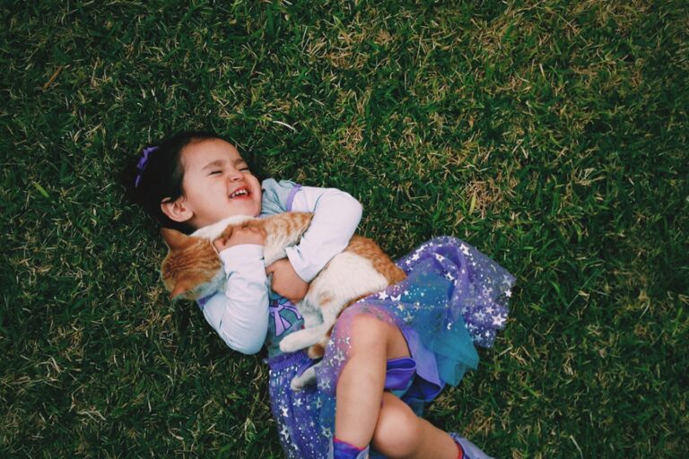Small girl in blue dress holding orange & white cat in grass