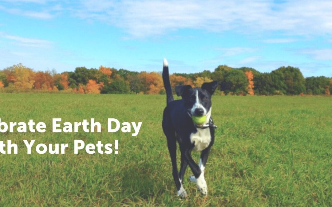 Celebrate Earth Day with Your Pets