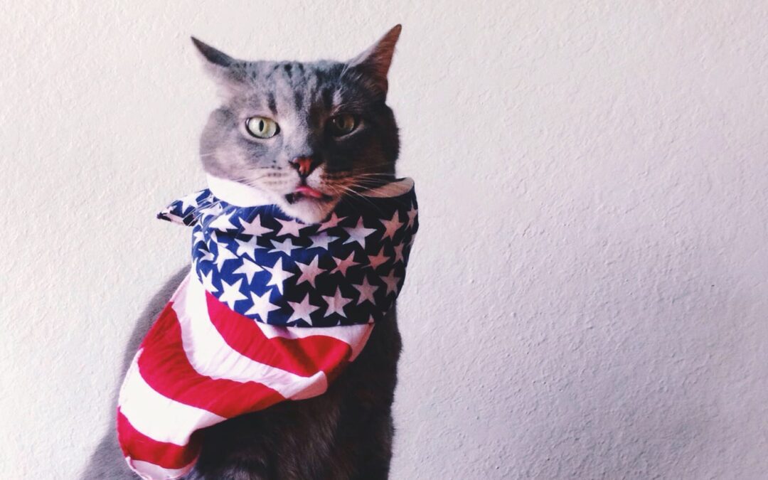 Smells Like Team Spirit: Team USA Gear for You and Your Pet