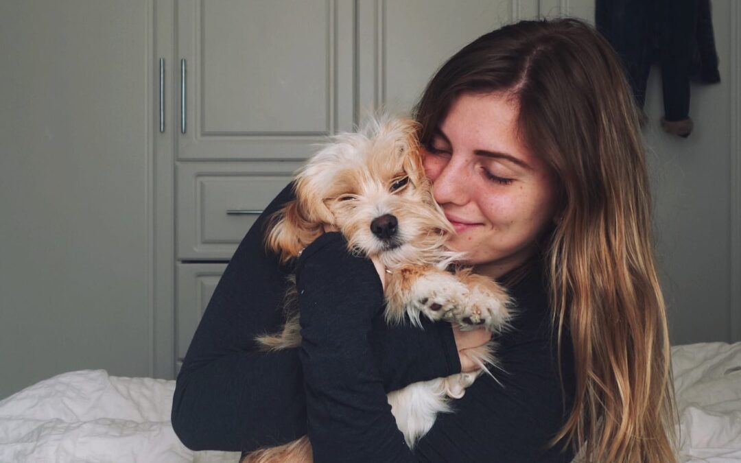 6 Indoor Activities to Do With Your Pets