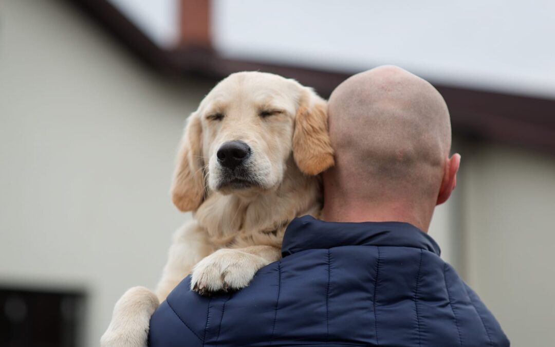 PTSD Service Dogs Help Veterans Adjust to Civilian Life