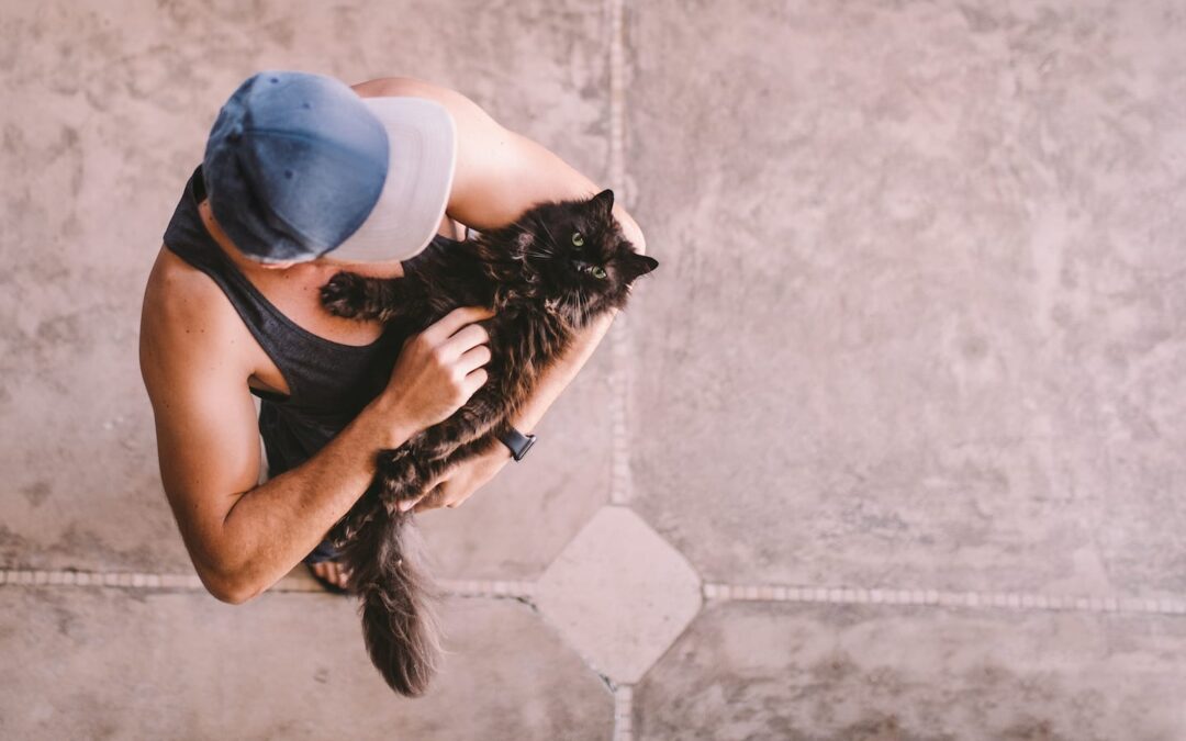 7 Ways to Pamper Your Pet That You’ve Never Heard Of