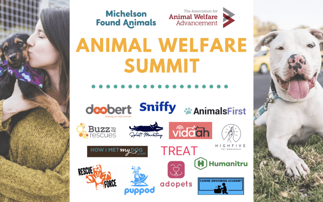 Michelson Found Animals Partners with The Association for Animal Welfare Advancement On First Ever Animal Welfare Summit