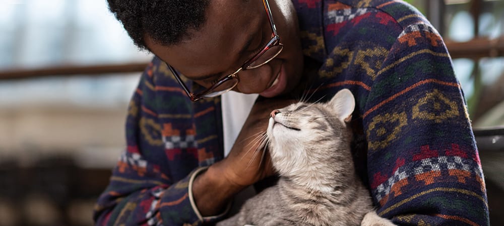 The Ultimate Cat Daddy Gift Guide