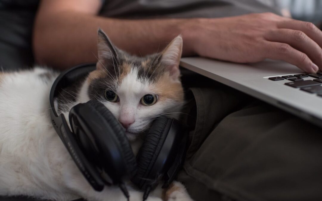 5 Pet Podcasts for Your Morning Commute