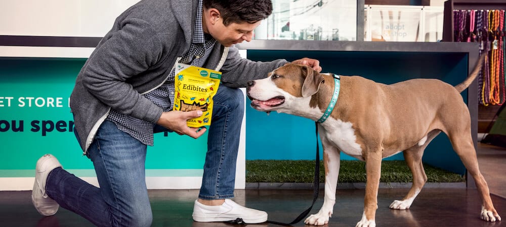 cbd for pets