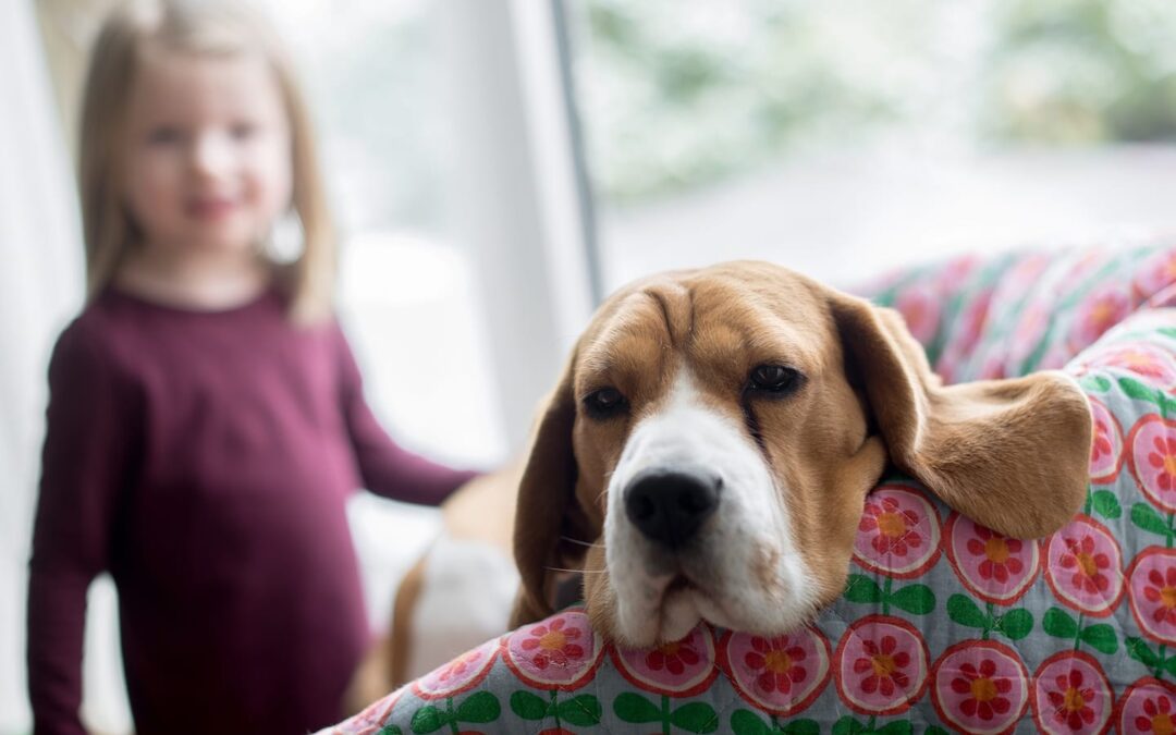 Dog Cancer: Signs and Symptoms