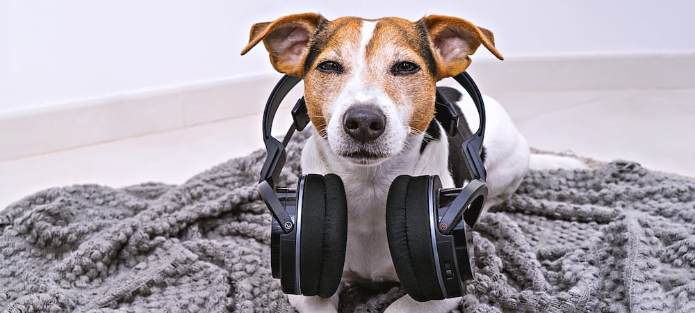 Dog Music and Cat Music