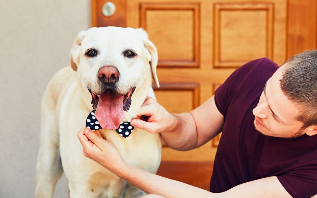 Your Instagram-Worthy Pet Fashion Guide