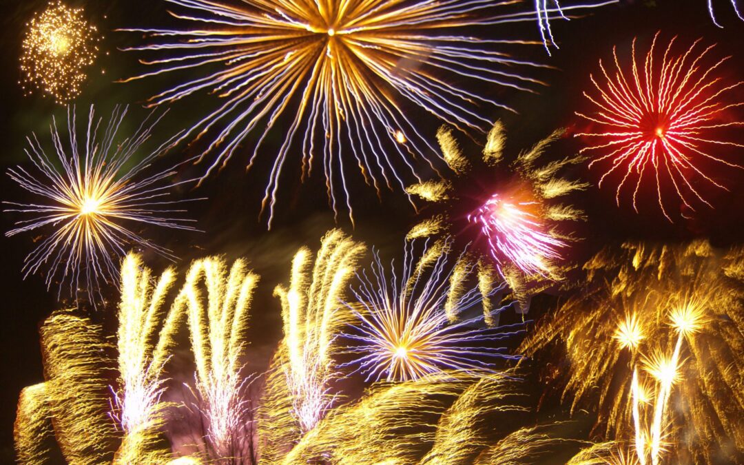 8 Steps to Fireworks Safety for Your Pets During the Super Bowl