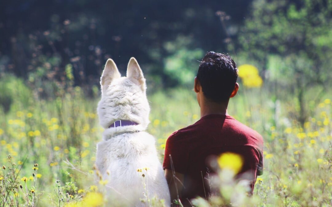 #BetterTogether: Why Dogs are Man’s Best Friend