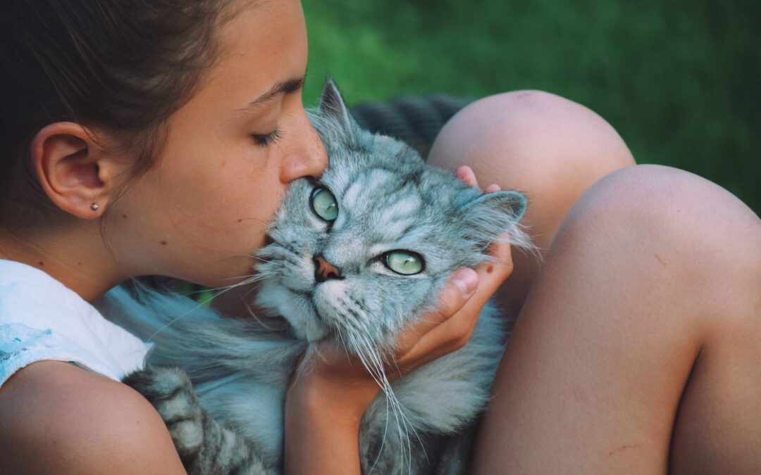 Home Fire Safety for Pets