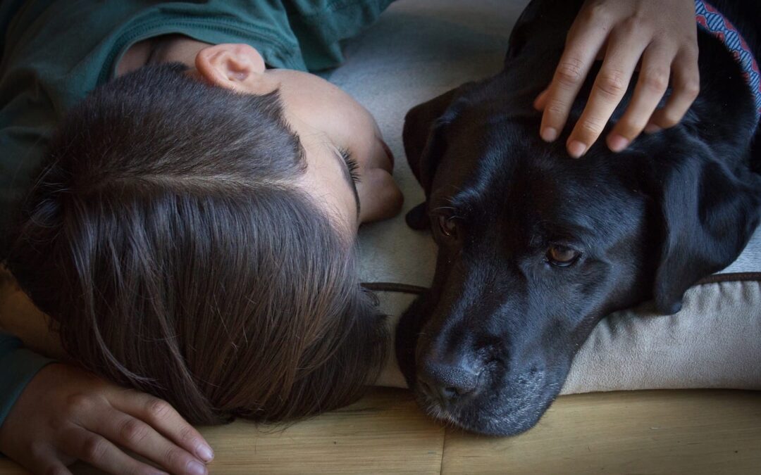 5 Ways to Cope With the Loss of a Pet