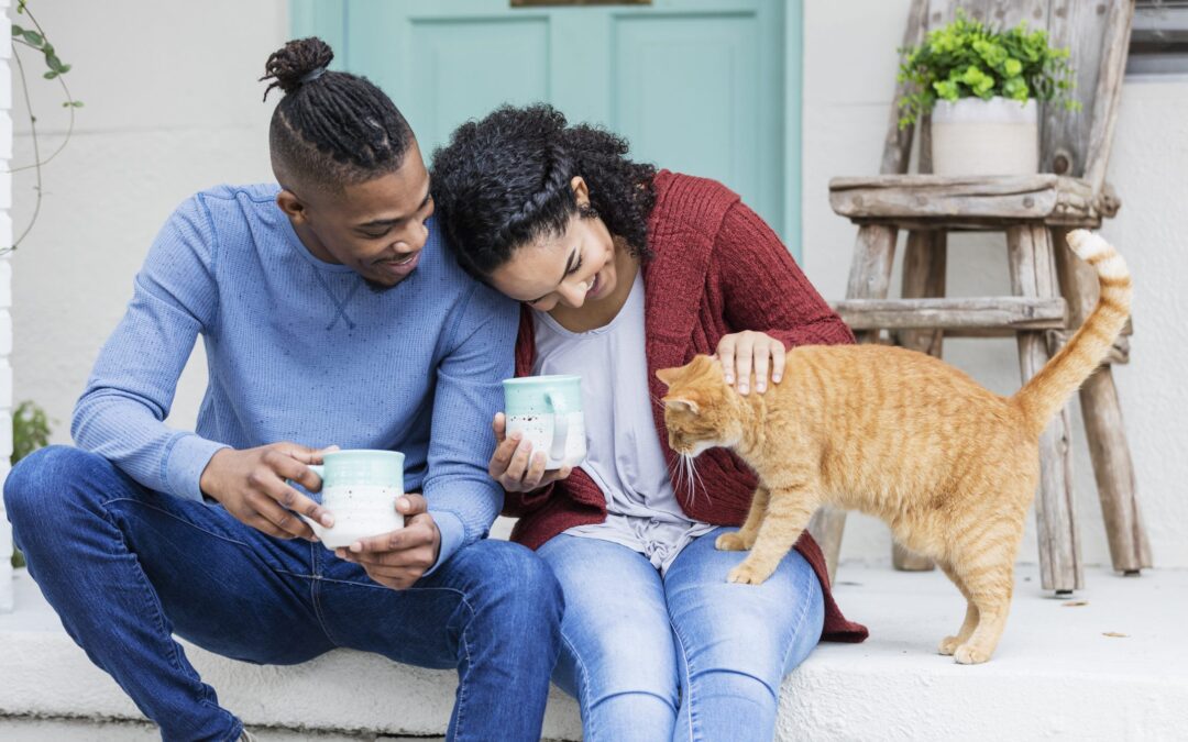 Cats made great pandemic pets but are they on the brink of a crisis?