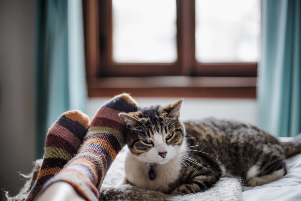 #BetterTogether: Why Cats Make Our Lives Better