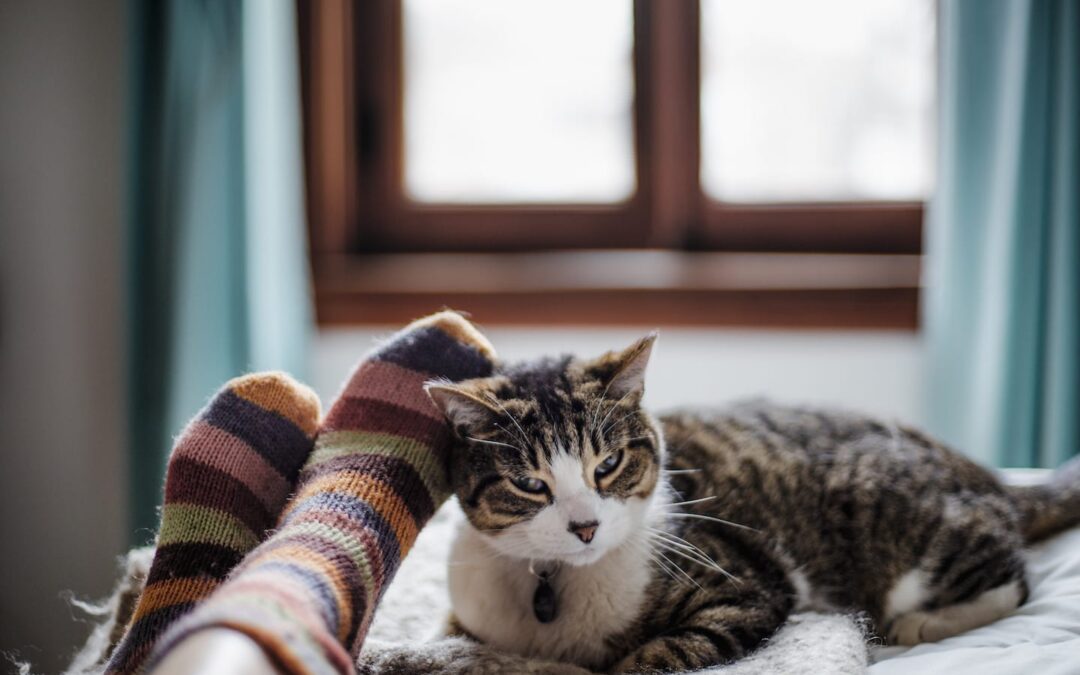 #BetterTogether: Why Cats Make Our Lives Better