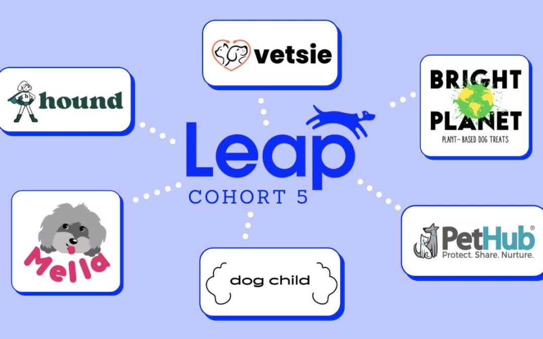 Pet Care Innovation Takes a “Leap” Forward: Introducing the Fifth Cohort of the Leap Venture Studio