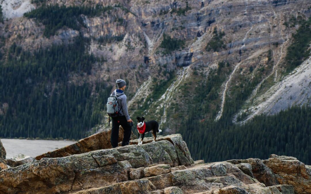 The Top 5 Dog-Friendly National Parks