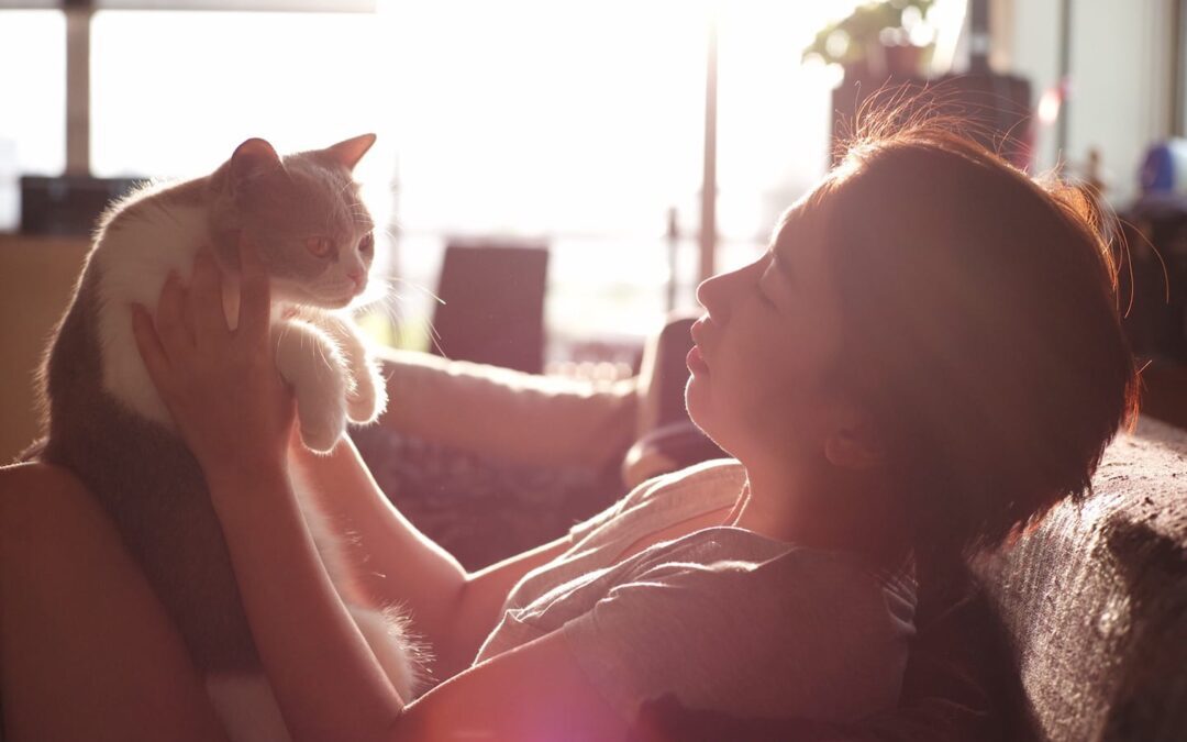 10 Things to Do for Your Newly Adopted Cat