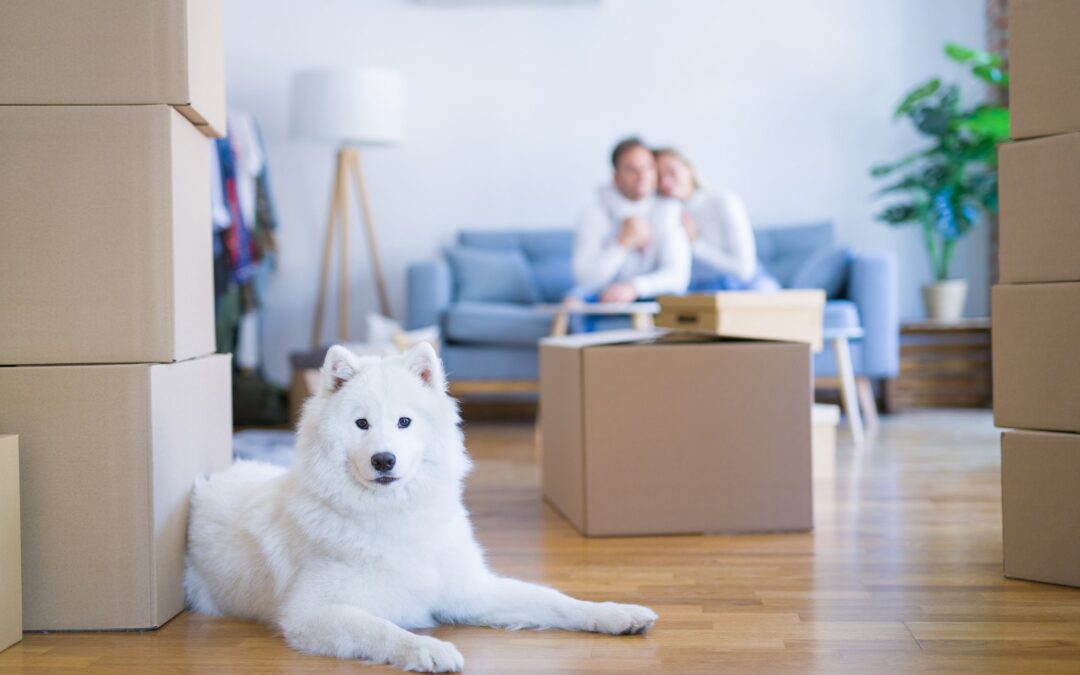 Public Housing Should Remove All Pet Restrictions, Michelson Says at Pet Week on Capitol Hill