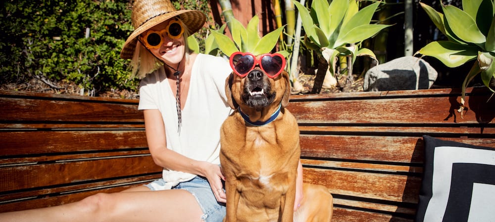 Pet Trends Infographic